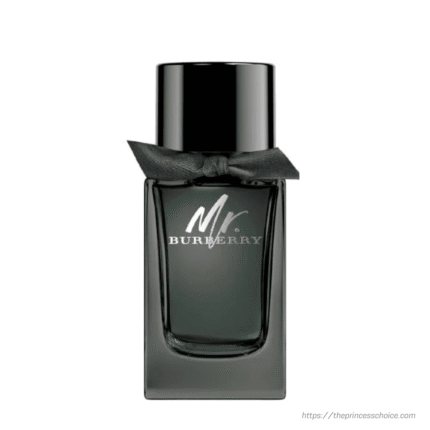 BURBERRY MR BURBERRY (M) EDP 100ML