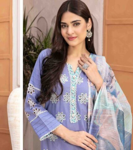 A model wearing an Ash Blue Cotton Schiffli Embroidered Fancy Dupatta Dress, showcasing its intricate details and timeless elegance